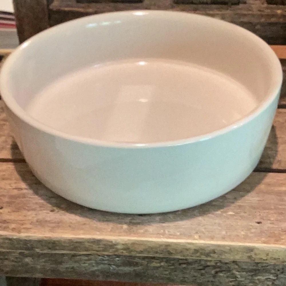 Rae Dunn KITTY pet bowl